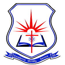 Methodist University College Ghana Reference Form