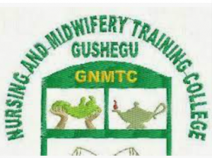Midwifery Training School, Gushegu Prospectus 2023/2024