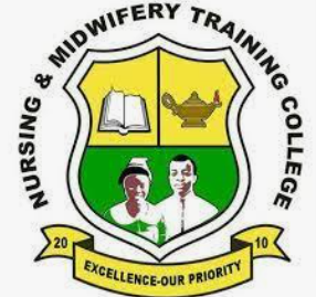 Midwifery Training School, Tumu Contact Details