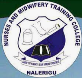 Nursing and Midwifery Training College, Nalerigu Prospectus 2023/2024