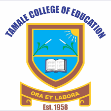 What are the Courses Offered at TACE?
