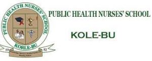 Public Health Nurses Training School, Korle-Bu Prospectus 2023/2024