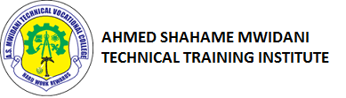 What are the Courses Offered at Ahmed Shahame Mwidani TTI?