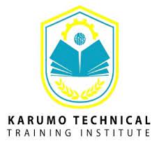 What are the Courses Offered at Karumo TTI?