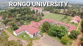 What are the Courses Offered at Rongo University?