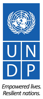 United Nations Development Programme Vacancy 2023 – Partnerships Development Specialist