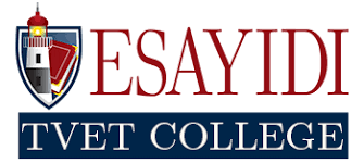 Esayidi TVET College Fees 2024/2025